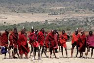 Maasai Warriors